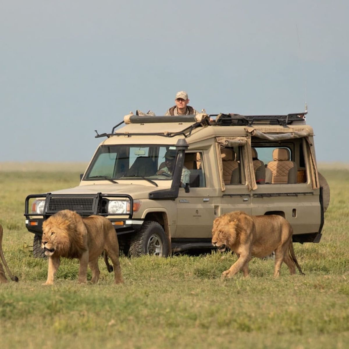 Rent Safari Land Cruiser in Entebbe from $120